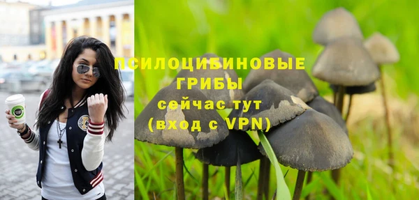 гидропоника Баксан