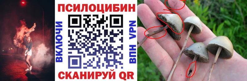 Галлюциногенные грибы GOLDEN TEACHER  Кунгур 