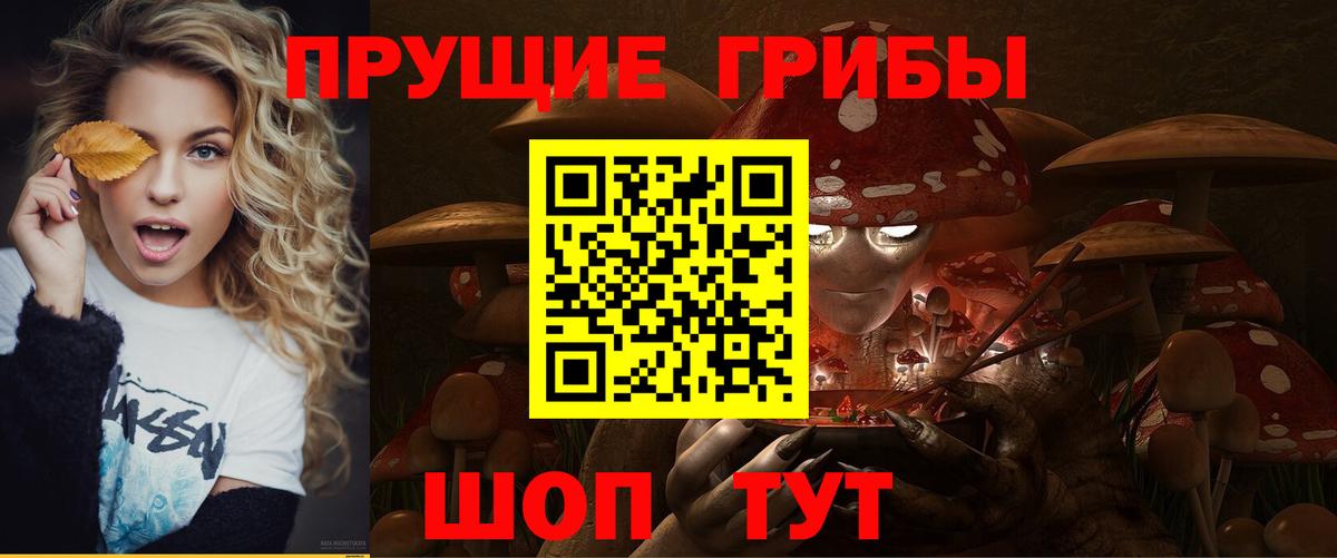 Кунгур  Галлюциногенные грибы MAGIC MUSHROOMS  Вход с VPN 